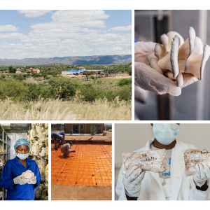 Standard Bank partners with MIT on innovative housing and food project in Namibia